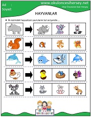 Hayvanların Yavrusunu Bul